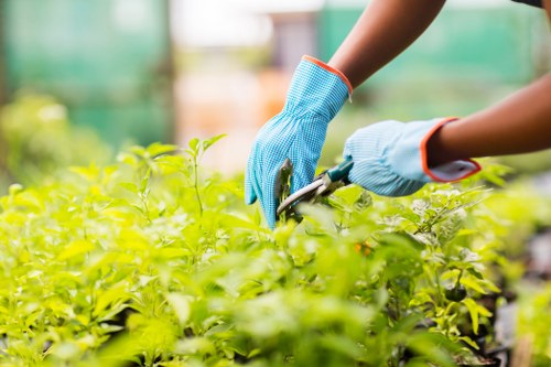 Worker wearing PPE while using powered garden equipment