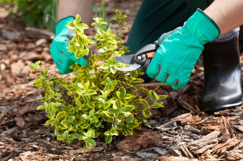 Gardener working on a small front garden in Harrow