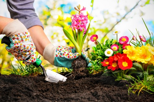 Sustainable garden practices with solar lighting and native plants in Harrow