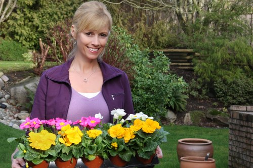 Comprehensive gardening services offered by Gardener Harrow